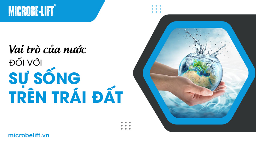 Vai trò của nước đối với sự sống trên Trái Đất