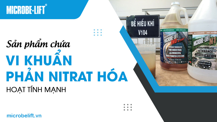 Sản phẩm chứa vi khuẩn phản Nitrat hóa hoạt tính mạnh