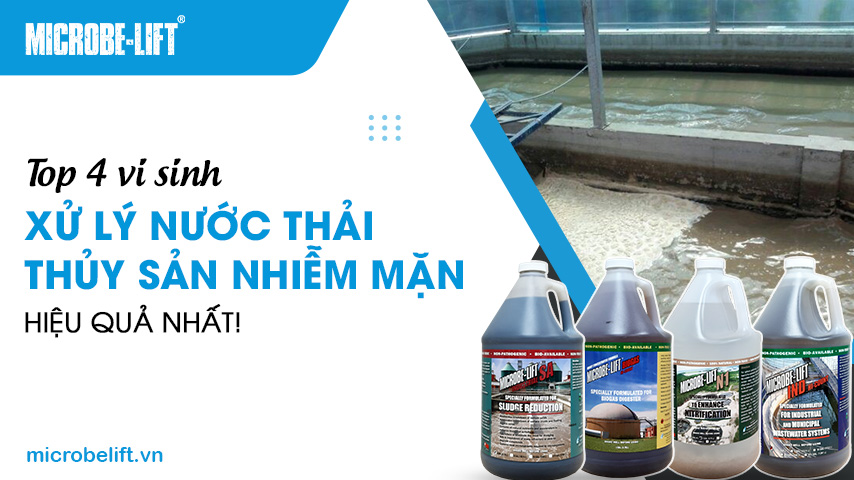 Top 4 vi sinh xử lý nước thải thủy sản nhiễm mặn hiệu quả nhất!