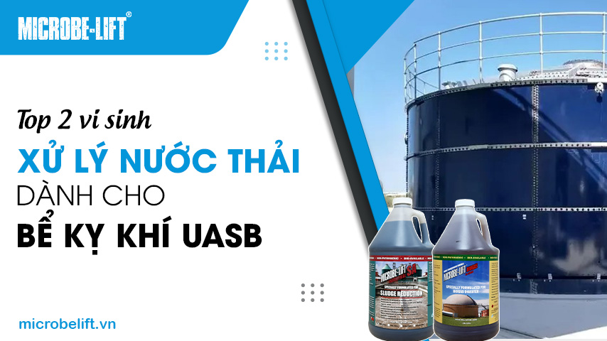 Top 2 vi sinh xử lý nước thải dành cho bể kỵ khí UASB