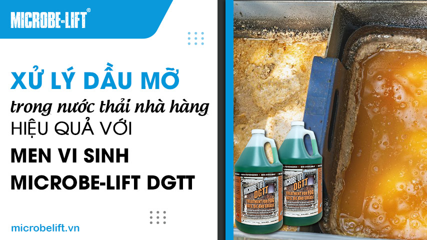 Xử lý dầu mỡ trong nước thải nhà hàng hiệu quả với Microbe-Lift DGTT