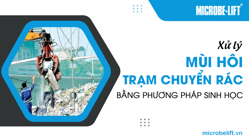 Xử lý mùi hôi trạm chuyển rác bằng phương pháp sinh học