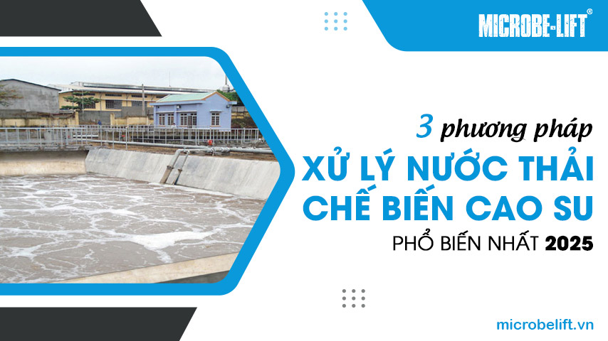 3 phương pháp xử lý nước thải chế biến cao su phổ biến nhất 2025