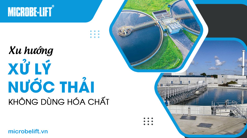 Xu hướng xử lý nước thải không dùng hóa chất