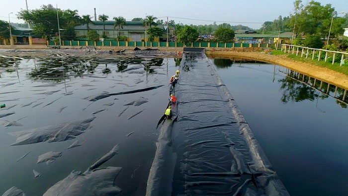 Hồ sinh học xử lý nước thải: Phân loại, cấu tạo và cơ chế hoạt động