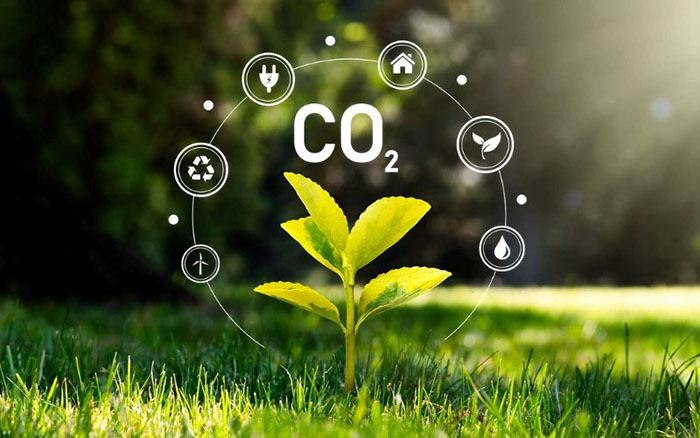 CO2 là gì? Tại sao CO2 gây hiệu ứng nhà kính?