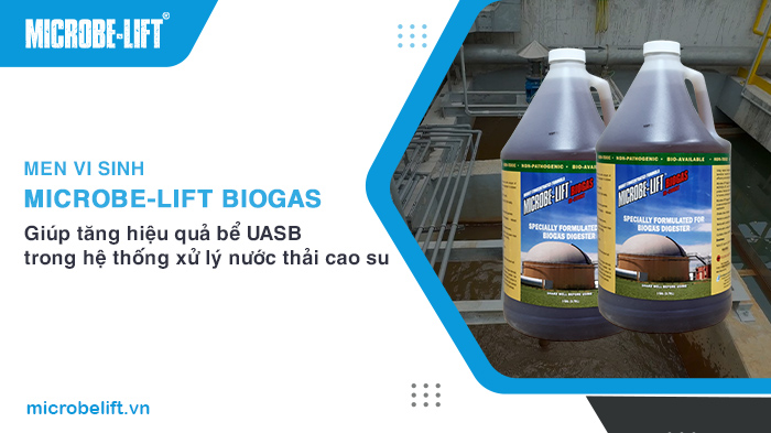 Vai trò của bể UASB trong hệ thống xử lý nước thải cao su