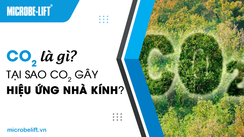 CO2 là gì? Tại sao CO2 gây hiệu ứng nhà kính?