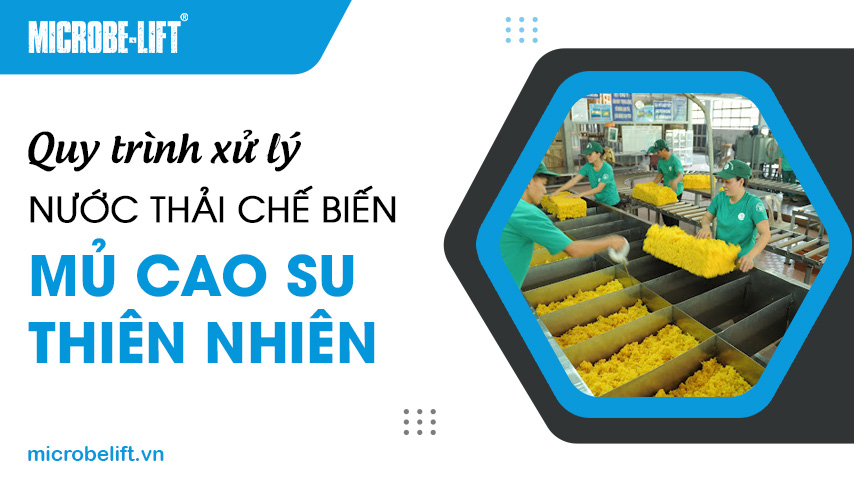 Quy trình xử lý nước thải chế biến mủ cao su thiên nhiên