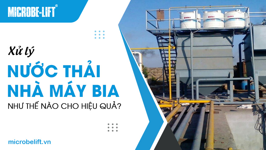 Xử lý nước thải nhà máy bia như thế nào cho hiệu quả?