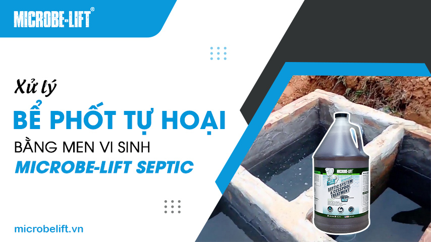 Xử lý bể phốt tự hoại bằng men vi sinh Microbe-Lift SEPTIC