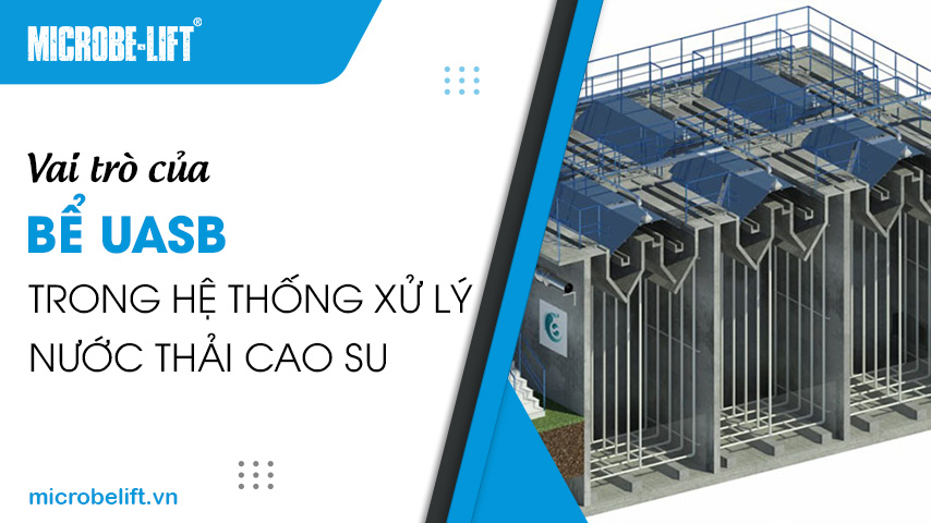 Vai trò của bể UASB trong hệ thống xử lý nước thải cao su