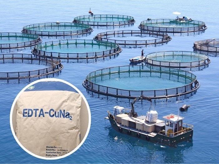 EDTA là một hợp chất hữu cơ có khả năng tạo phức với các ion kim loại EDTA là một hợp chất hữu cơ có khả năng tạo phức với các ion kim loại