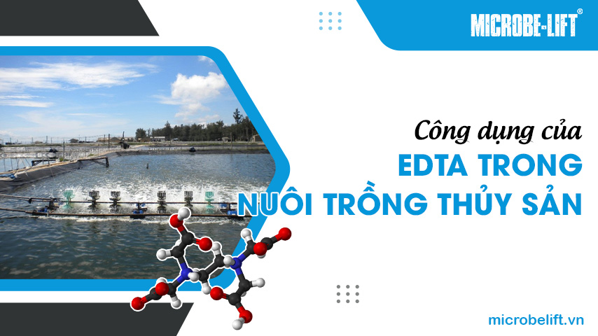 Công dụng của EDTA trong nuôi trồng thủy sản