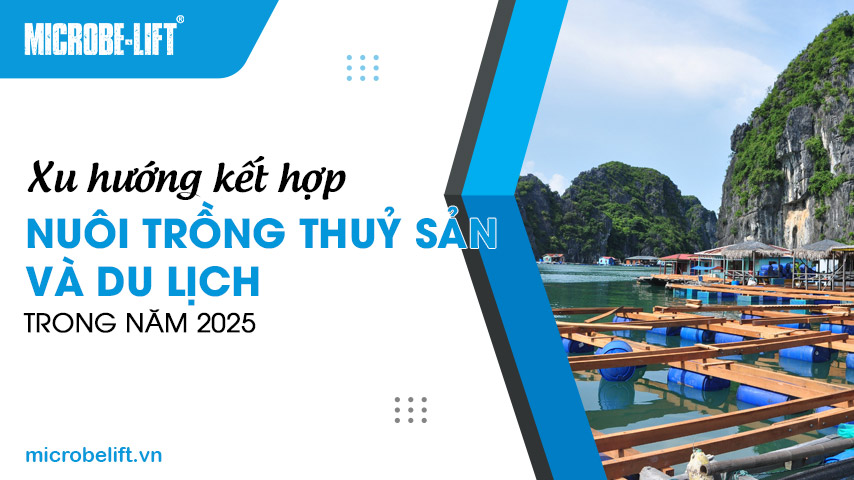 Xu hướng kết hợp nuôi trồng thuỷ sản và du lịch trong năm 2025