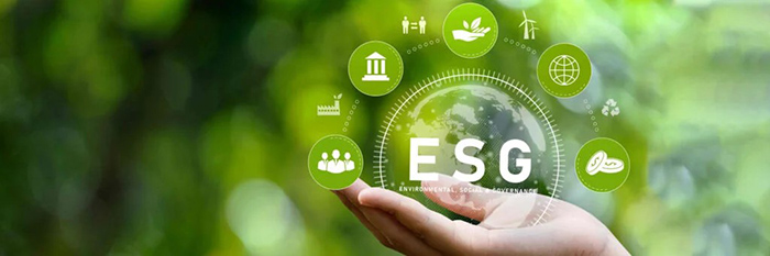 ESG đánh giá mức độ phát triển bền vững và trách nhiệm xã hội của một doanh nghiệp ESG đánh giá mức độ phát triển bền vững và trách nhiệm xã hội của một doanh nghiệp