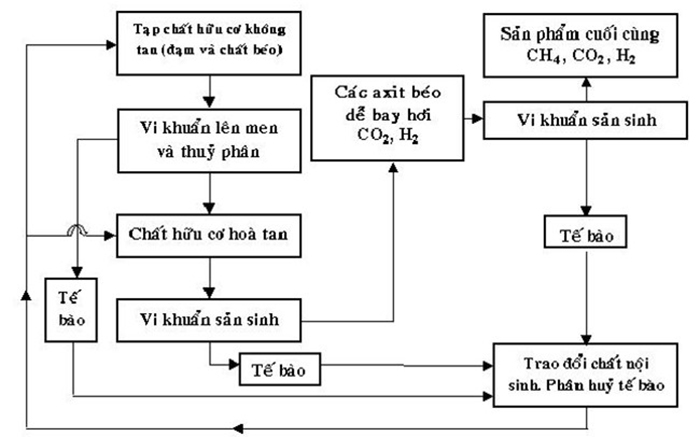 Sơ đồ quá trình phân huỷ trong xử lý sinh học kỵ khí. Sơ đồ quá trình phân huỷ trong xử lý sinh học kỵ khí.