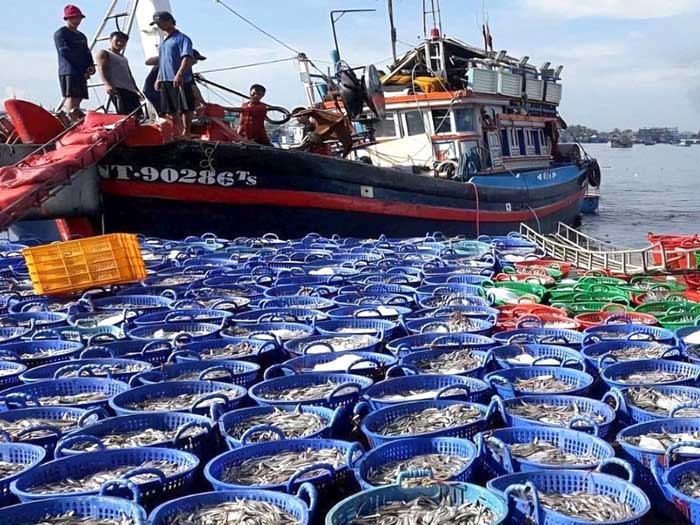Tốc độ tăng trưởng ổn định, đạt hiệu quả cao Tốc độ tăng trưởng ổn định, đạt hiệu quả cao
