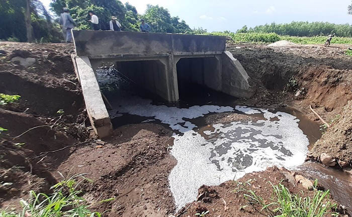 Thực trạng xử lý nước thải chăn nuôi tại Việt Nam đang đối mặt nhiều thách thức Thực trạng xử lý nước thải chăn nuôi tại Việt Nam đang đối mặt nhiều thách thức
