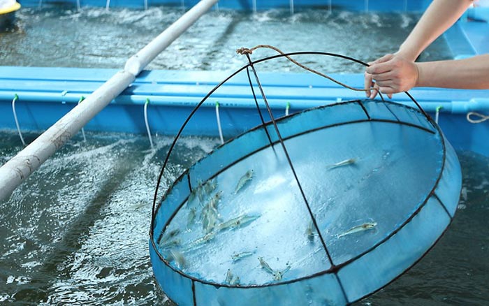 Chi phí đầu tư ban đầu khá cao cho việc cải tiến quy trình Chi phí đầu tư ban đầu khá cao cho việc cải tiến quy trình