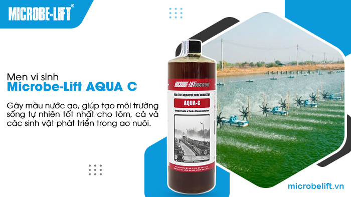 Sử dụng Microbe-Lift AQUA C để gây màu nước, tạo môi trường nước ao lý tưởng cho cá, tôm phát triển. Sử dụng Microbe-Lift AQUA C để gây màu nước, tạo môi trường nước ao lý tưởng cho cá, tôm phát triển.