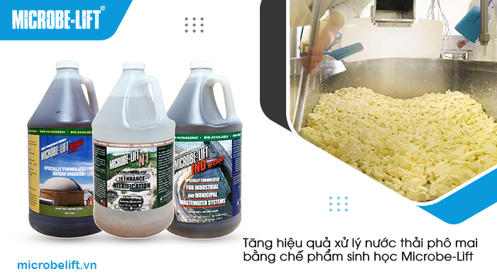 Tăng hiệu quả xử lý nước thải phô mai bằng chế phẩm sinh học Tăng hiệu quả xử lý nước thải phô mai bằng chế phẩm sinh học