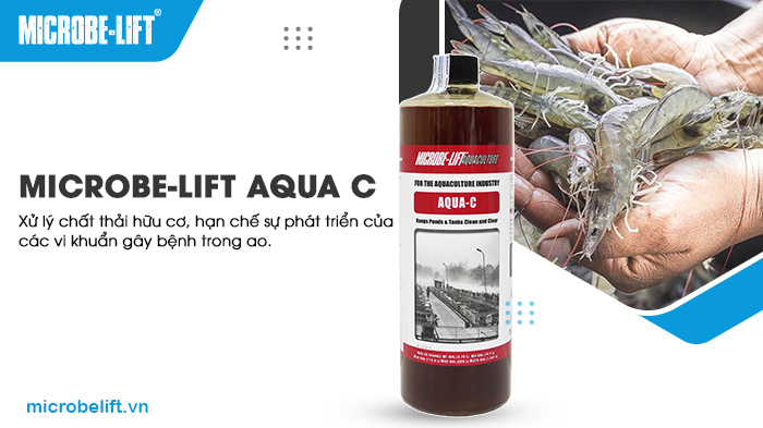 Bổ sung chế phẩm sinh học Microbe-Lift AQUA C để cải thiện và kiểm soát môi trường nước ao nuôi. Bổ sung chế phẩm sinh học Microbe-Lift AQUA C để cải thiện và kiểm soát môi trường nước ao nuôi.