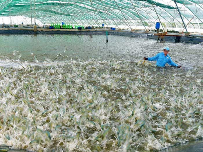 Xử lý nước để loại bỏ các vi khuẩn gây bệnh Xử lý nước để loại bỏ các vi khuẩn gây bệnh