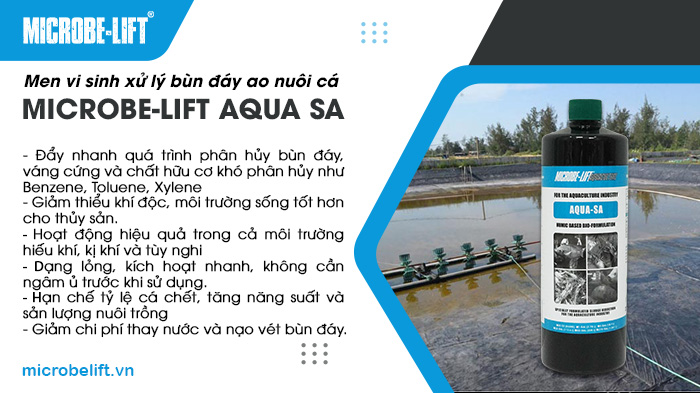 Chế phẩm vi sinh Microbe-Lift AQUA SA là giải pháp hiệu quả để xử lý bùn đáy ao nuôi cá. Chế phẩm vi sinh Microbe-Lift AQUA SA là giải pháp hiệu quả để xử lý bùn đáy ao nuôi cá.