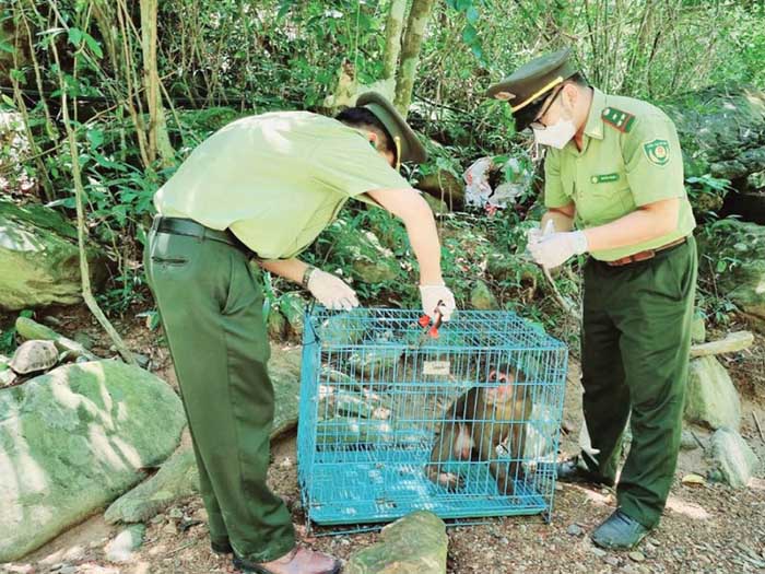 Nhà nước cần đẩy mạnh tuyên truyền bảo vệ động vật hoang dã. Nhà nước cần đẩy mạnh tuyên truyền bảo vệ động vật hoang dã.