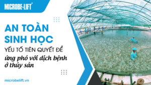 An toàn sinh học: Yếu tố tiên quyết để ứng phó với dịch bệnh ở thủy sản