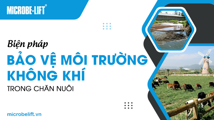 Biện pháp bảo vệ môi trường không khí trong chăn nuôi
