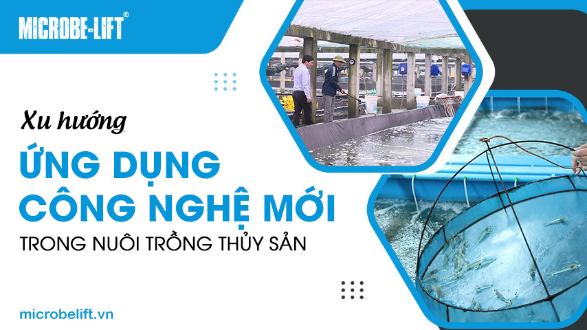 Xu hướng ứng dụng công nghệ mới trong nuôi trồng thủy sản