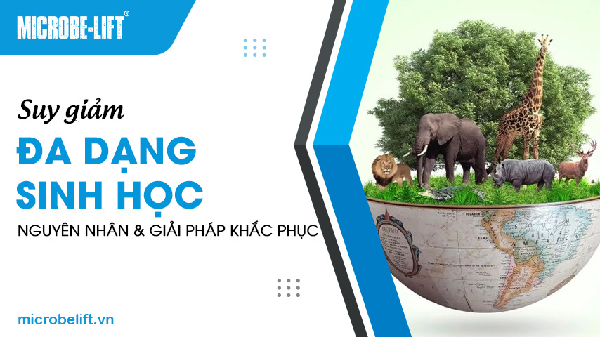 Suy giảm đa dạng sinh học: Nguyên nhân và giải pháp khắc phục