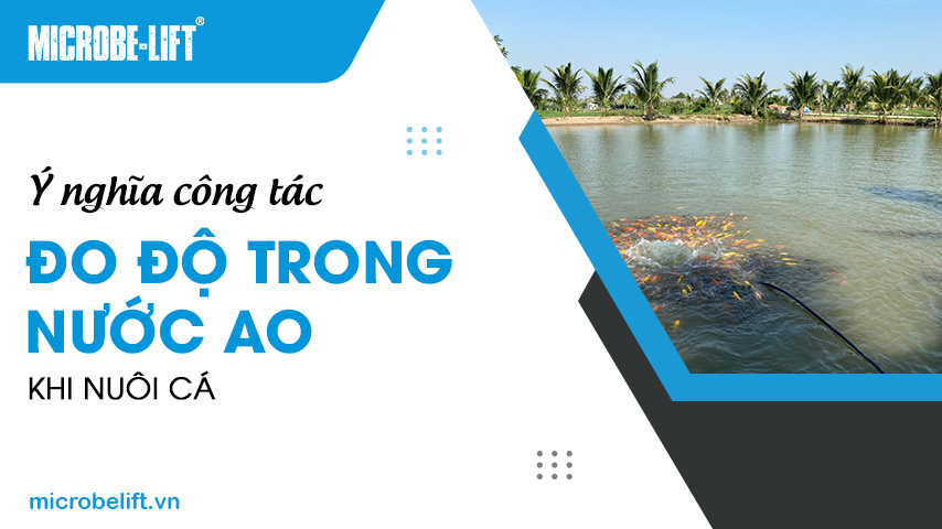 Ý nghĩa công tác đo độ trong nước ao khi nuôi cá