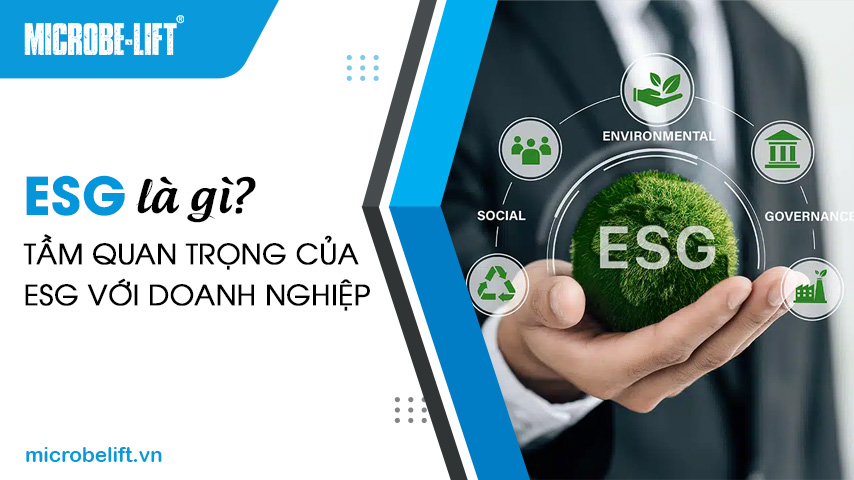 ESG là gì? Tầm quan trọng của ESG với doanh nghiệp