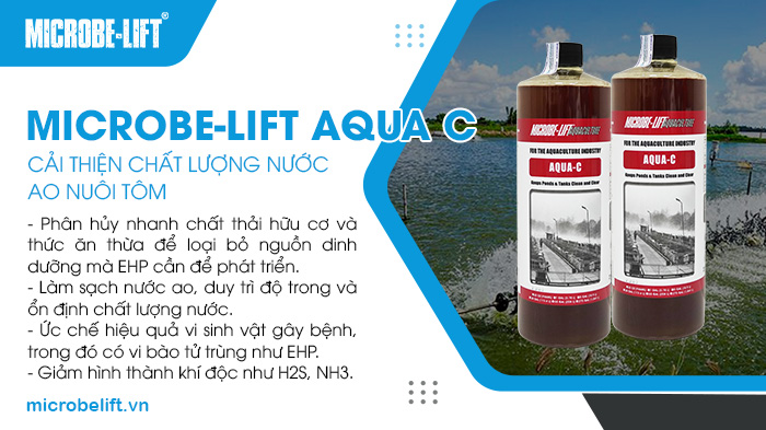 Men vi sinh Microbe-Lift AQUA C giúp xử lý chất thải, cải thiện chất lượng nước và hỗ trợ phòng ngừa các bệnh nguy hiểm, cũng như kiểm soát EHP hiệu quả. Men vi sinh Microbe-Lift AQUA C giúp xử lý chất thải, cải thiện chất lượng nước và hỗ trợ phòng ngừa các bệnh nguy hiểm, cũng như kiểm soát EHP hiệu quả.