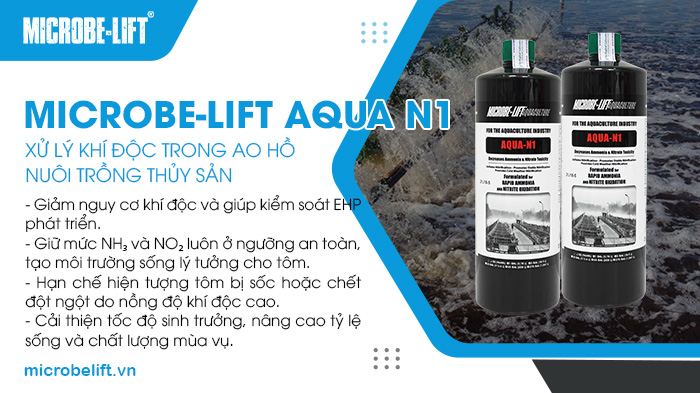 Chế phẩm vi sinh Microbe-Lift AQUA N1 ứng dụng công nghệ sinh học tiên tiến để xử lý khí độc trong ao hồ nuôi trồng thủy sản. Chế phẩm vi sinh Microbe-Lift AQUA N1 ứng dụng công nghệ sinh học tiên tiến để xử lý khí độc trong ao hồ nuôi trồng thủy sản.