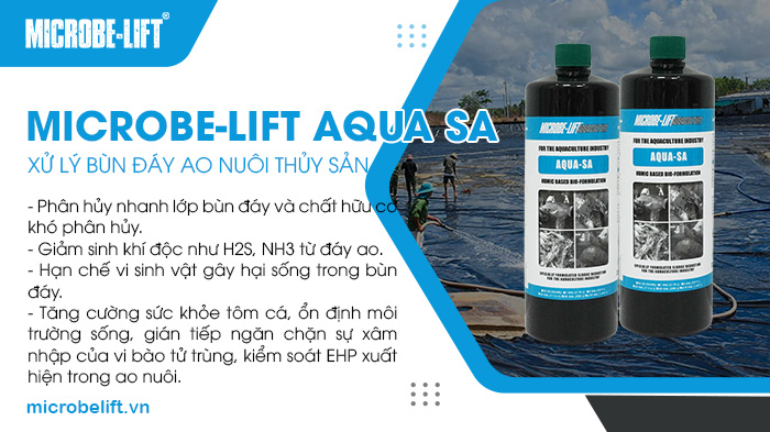Microbe-Lift AQUA SA chuyên dùng để xử lý bùn đáy ao nuôi tôm. Microbe-Lift AQUA SA chuyên dùng để xử lý bùn đáy ao nuôi tôm.