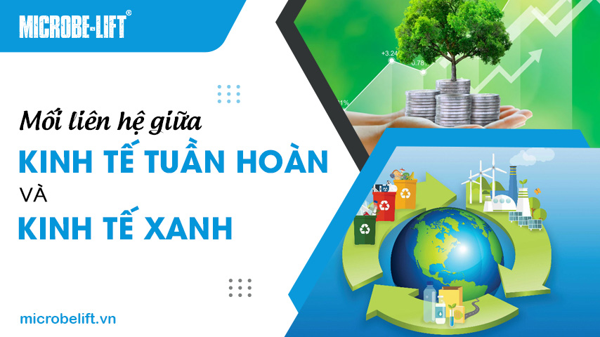 Mối liên hệ giữa kinh tế tuần hoàn và kinh tế xanh