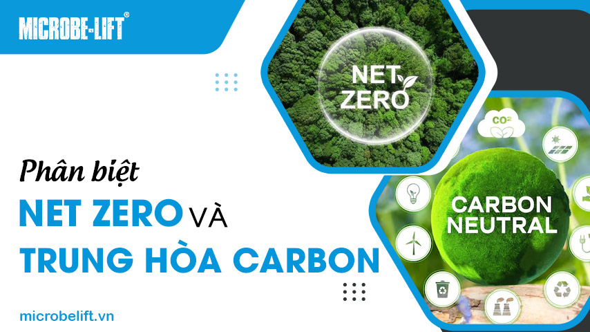 Phân biệt Net Zero và trung hòa Carbon