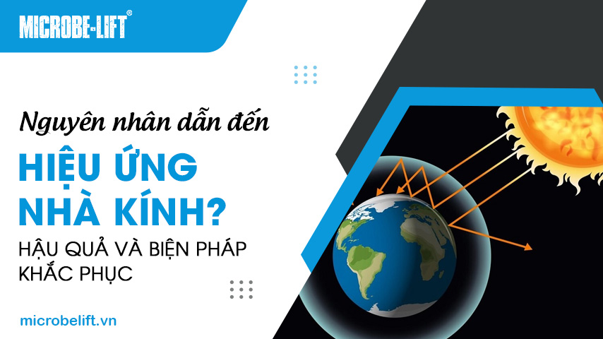 Nguyên nhân dẫn đến hiệu ứng nhà kính? Hậu quả và biện pháp khắc phục