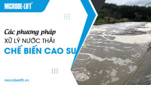 Các phương pháp xử lý nước thải chế biến cao su