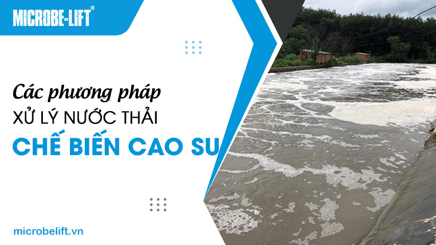 Các phương pháp xử lý nước thải chế biến cao su