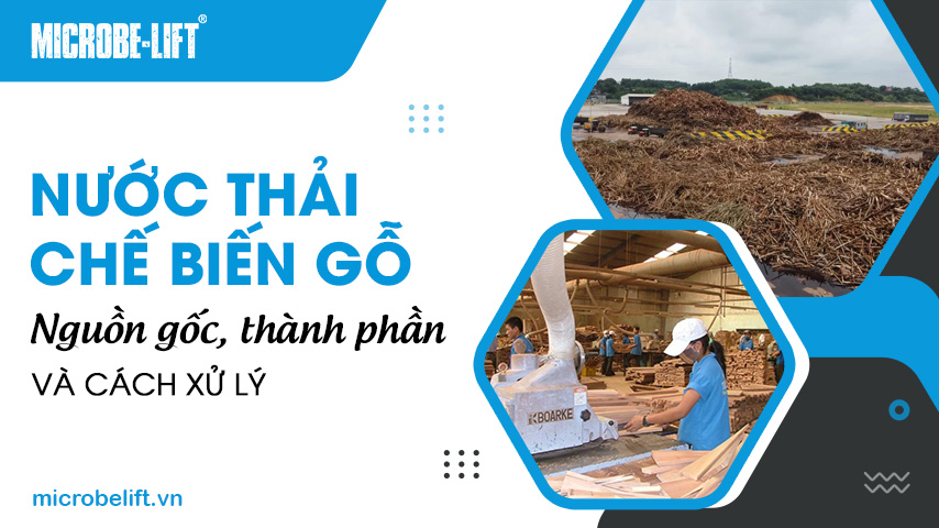 Nước thải chế biến gỗ: Nguồn gốc, thành phần và cách xử lý