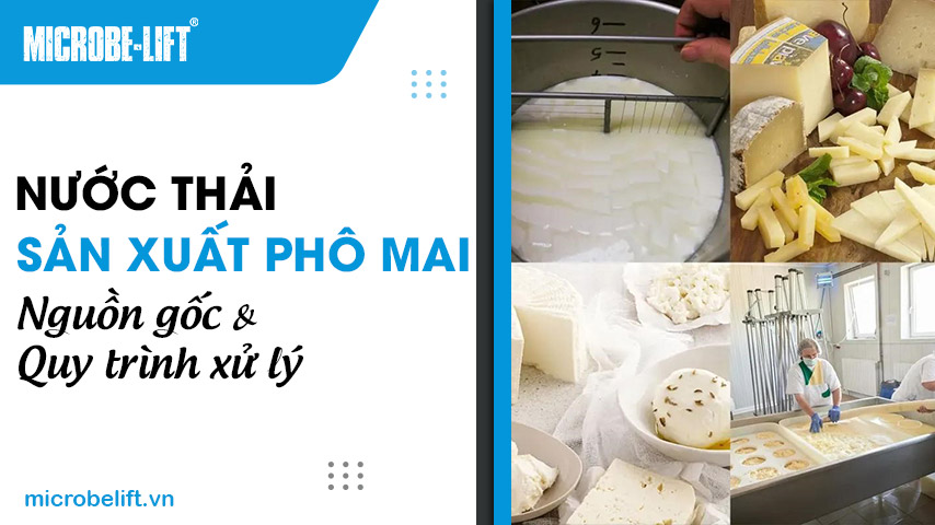Nước thải sản xuất phô mai: Nguồn gốc và quy trình xử lý