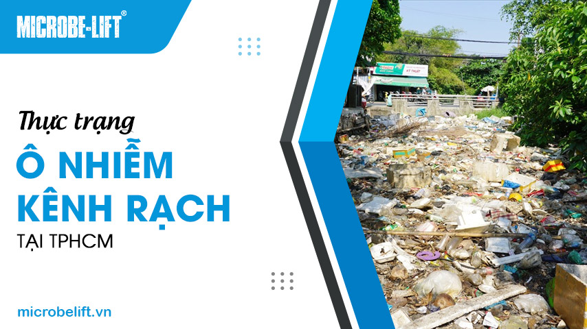 Thực trạng ô nhiễm kênh rạch tại TPHCM