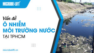 Vấn đề ô nhiễm môi trường nước tại TPHCM