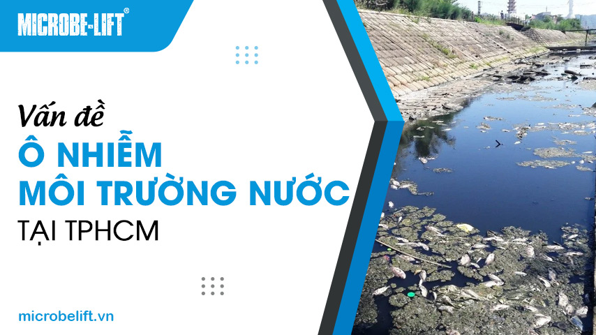 Vấn đề ô nhiễm môi trường nước tại TPHCM
