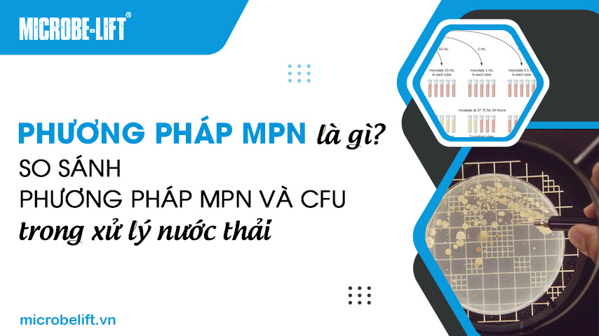 Phương pháp MPN là gì? So sánh phương pháp MPN và CFU trong xử lý nước thải